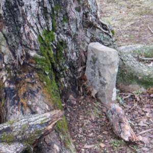 Minisode 11.1 - Young folk sing Psalm 54:1-7 (EBENEZER)