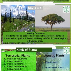 IV EVS Plants,Day 4&5