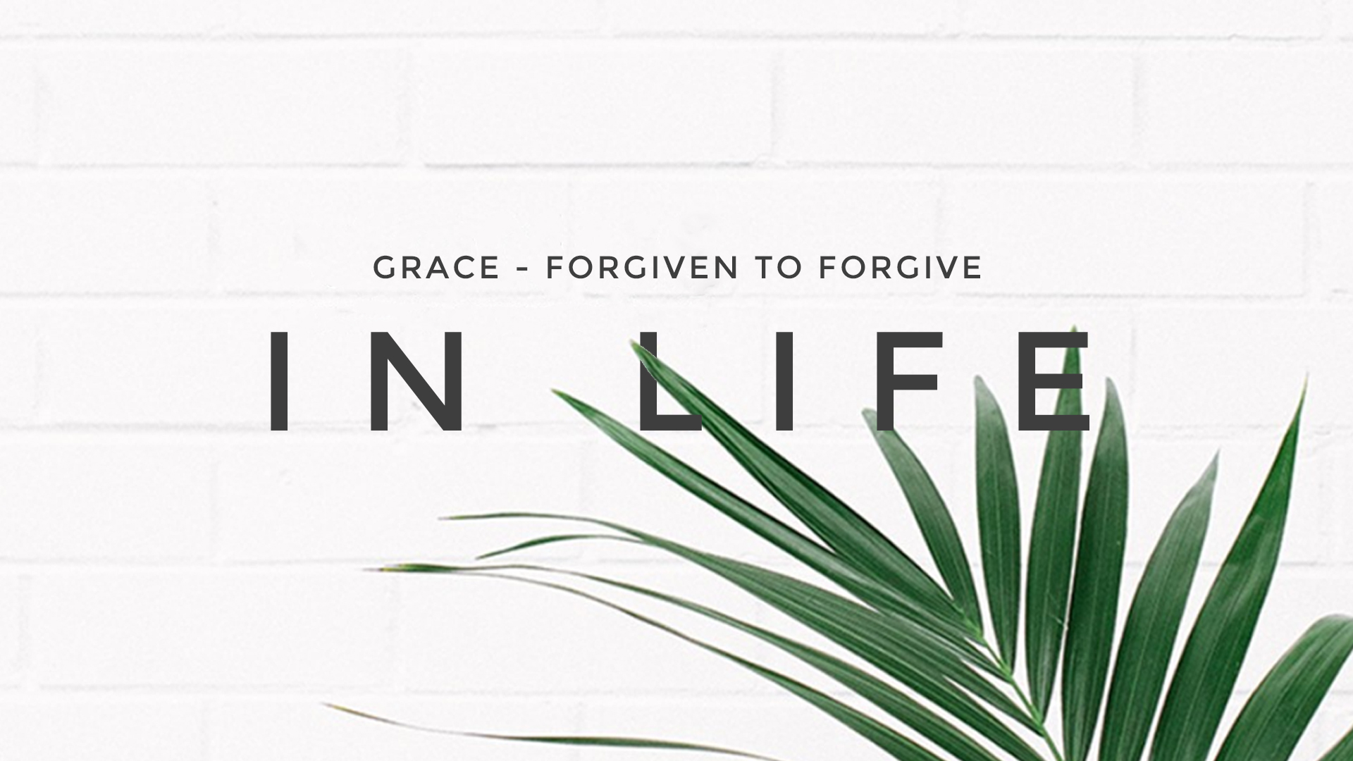 In Life - Grace Reached Me To