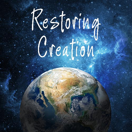 Restoring Creation!