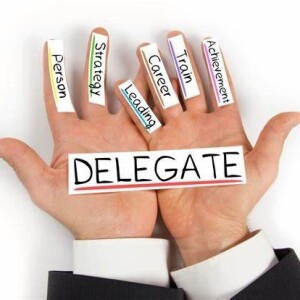 The Delegator