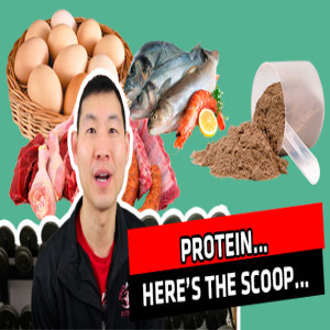 Protein... Here's the scoop