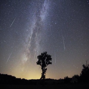 The Perseids