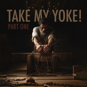 Take my Yoke! (part one)