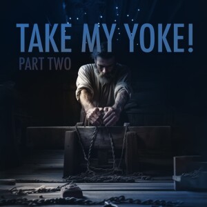 Take my Yoke! (part two)