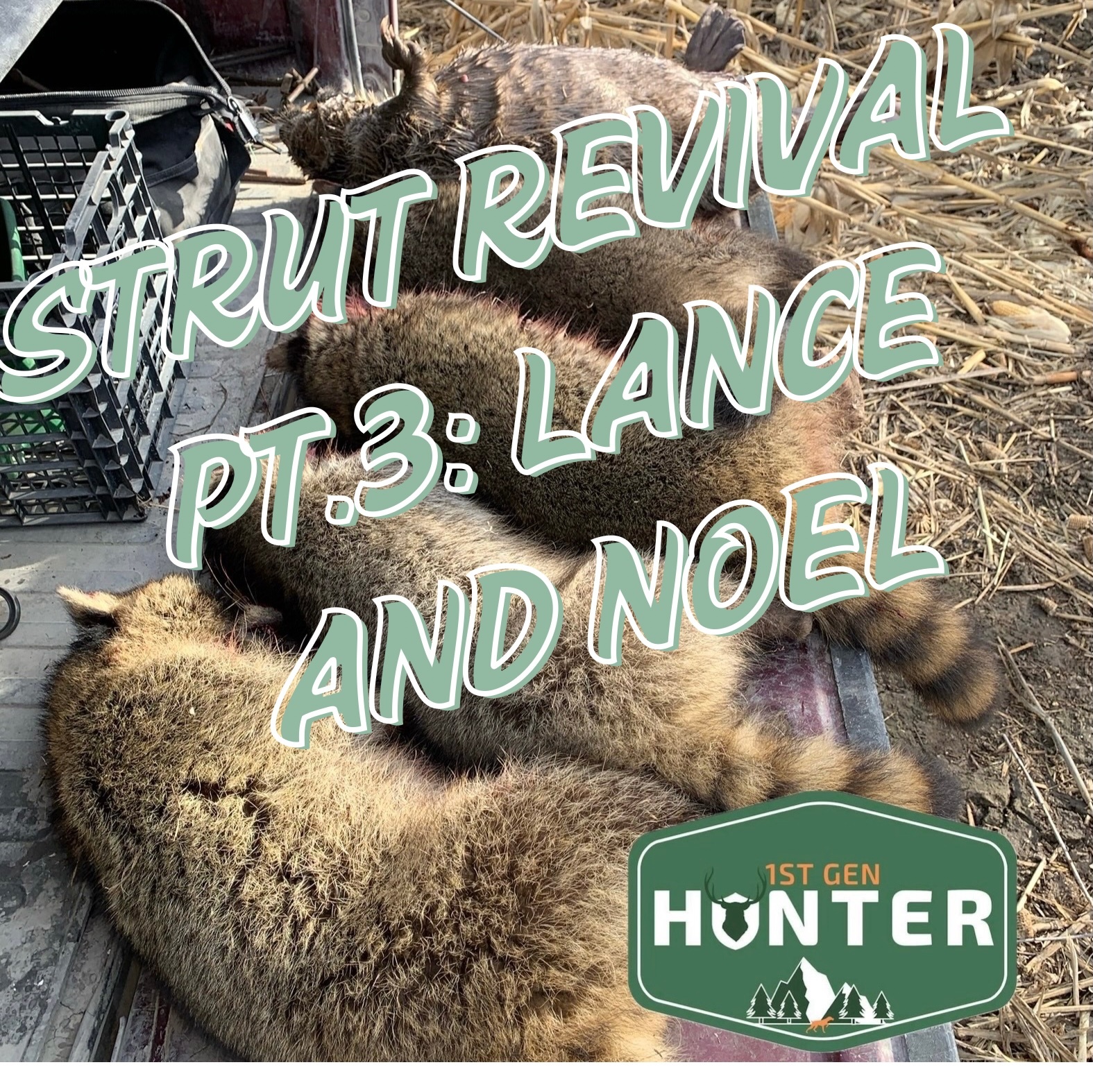 Ep. 327 Strut Revival week 3 Noel and Lance