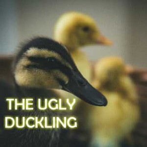 THE UGLY DUCKLING  (Short story )