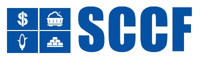 Swiss Company Management