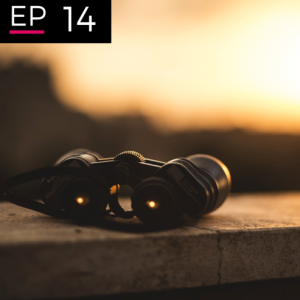 EP 14: Hindsight, Foresight and Insight - Jay Gary