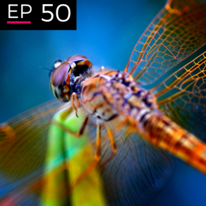 EP 50: Dancing with Complexity - Frank Spencer