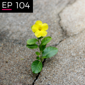 EP 104: Existential Hope - Allison Duettmann