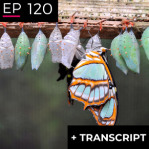 EP 120: Shapeshifting with the Hard Times Handbook - Ana Tiquia