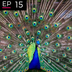 EP 15: Confidence: A Vital Element - Cath Smith