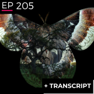 EP 205 - Rewilding the Imagination - Dana Klisanin