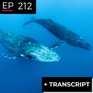 EP 212: Whales, Psychology and Futures - Trish Lavery