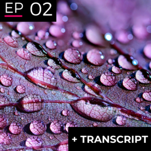 EP 2: Deep Inquiry and Dealing with Complexity - Peter Hayward