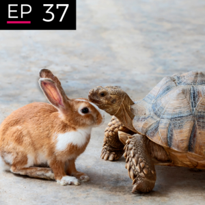 EP 37: Playing the Long Game - Andy Hines