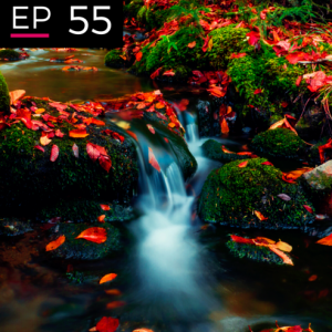 EP 55: Foresight in a Time of Coronavirus - Sohail Inayatullah