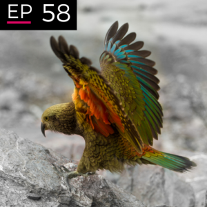 EP 58: How to be a Maverick - Yvonne Curtis