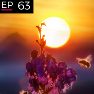 EP 63: A Matchmaker for the Future - Hazel Henderson