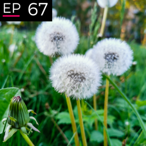 EP 67: The Three Tomorrows - Jordi Serra del Pino