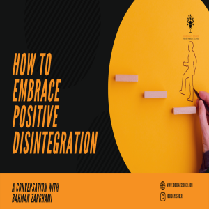 How to Embrace Positive Disintegration with Bahman Zarghami