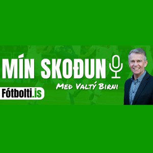 Mín skoðun - kynning