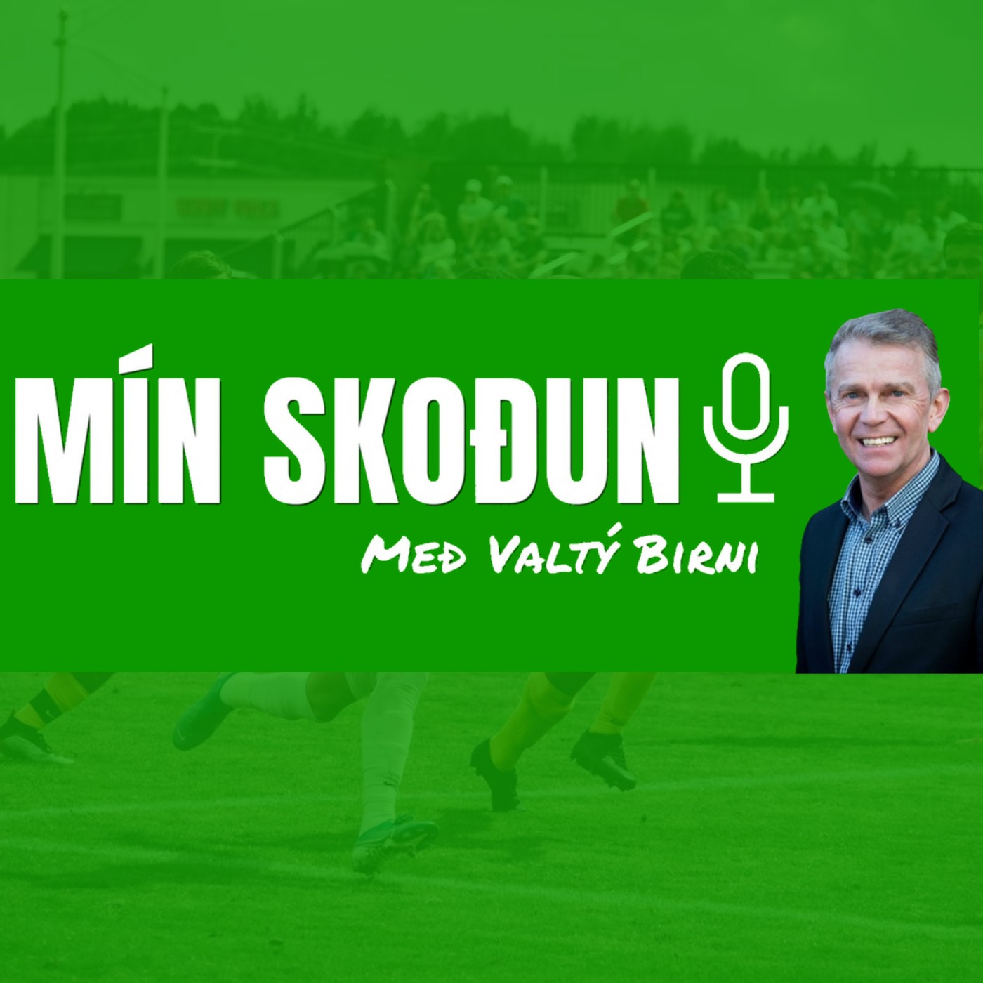 4.Þáttur-Mín skoðun