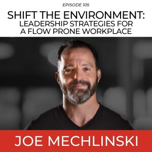 Shift The Workplace: Leadership Strategies For A Flow Prone Workplace Environment with Joe Mechlinski