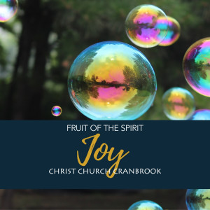 Fruit of the Spirit: Spirit of Joy
