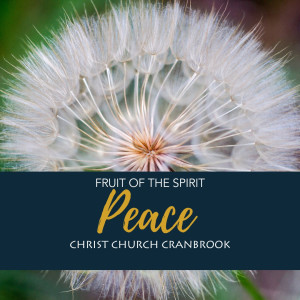 Fruit of the Spirit: Spirit of Peace