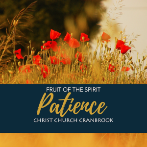 Fruit of the Spirit: Spirit of Patience