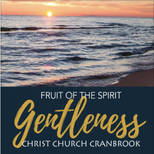 Fruit of the Spirit: Spirit of Gentleness