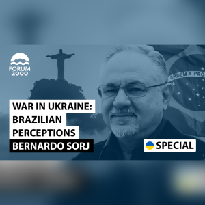 Bernardo Sorj: War in Ukraine: Brazilian perceptions