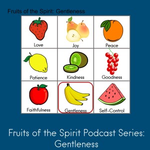 Fruits of the Spirit: Gentleness