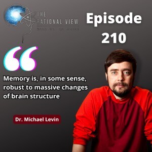 Dr. Michael Levin on cellular consciousness (re-release)