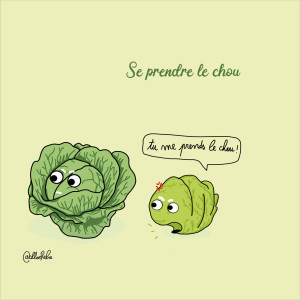 Expression idiomatique - Se prendre le chou