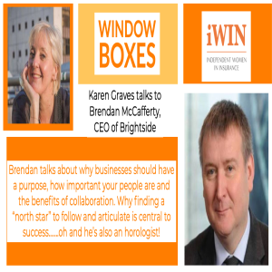 Window Boxes - Brendan McCafferty, CEO Brightside