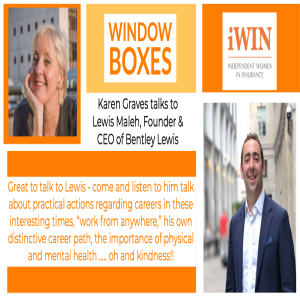 Window Boxes - Lewis Maleh