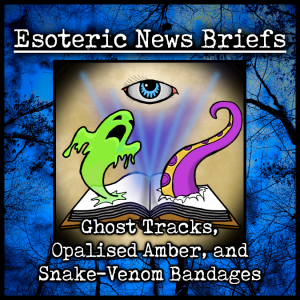 Esoteric News Briefs - Episode 2.7 - Ghost Tracks, Opalised Amber, and Snake-Venom Bandages