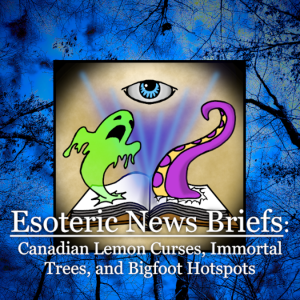 Esoteric News Briefs - Episode 3 - Canadian Lemon Curses, Immortal Trees, and Bigfoot Hotspots