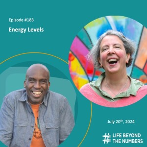 Energy Levels - Steve Wright