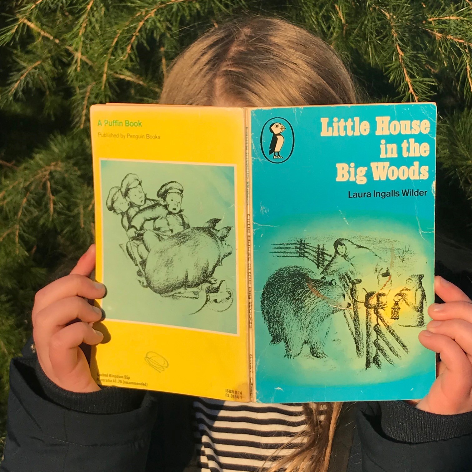 Books Are Back