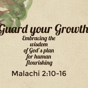Guard your Growth