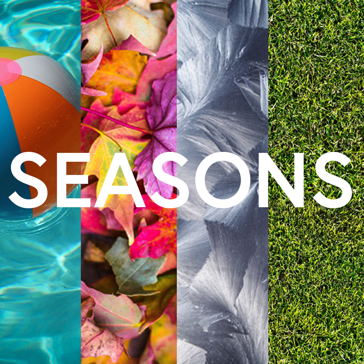 Mark Ansell - Seasons - Autumn