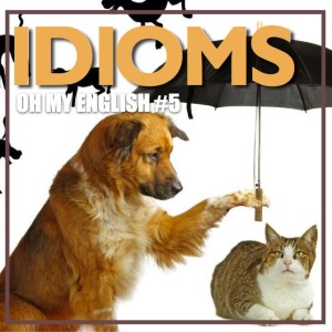 Oh My English #5: Idioms