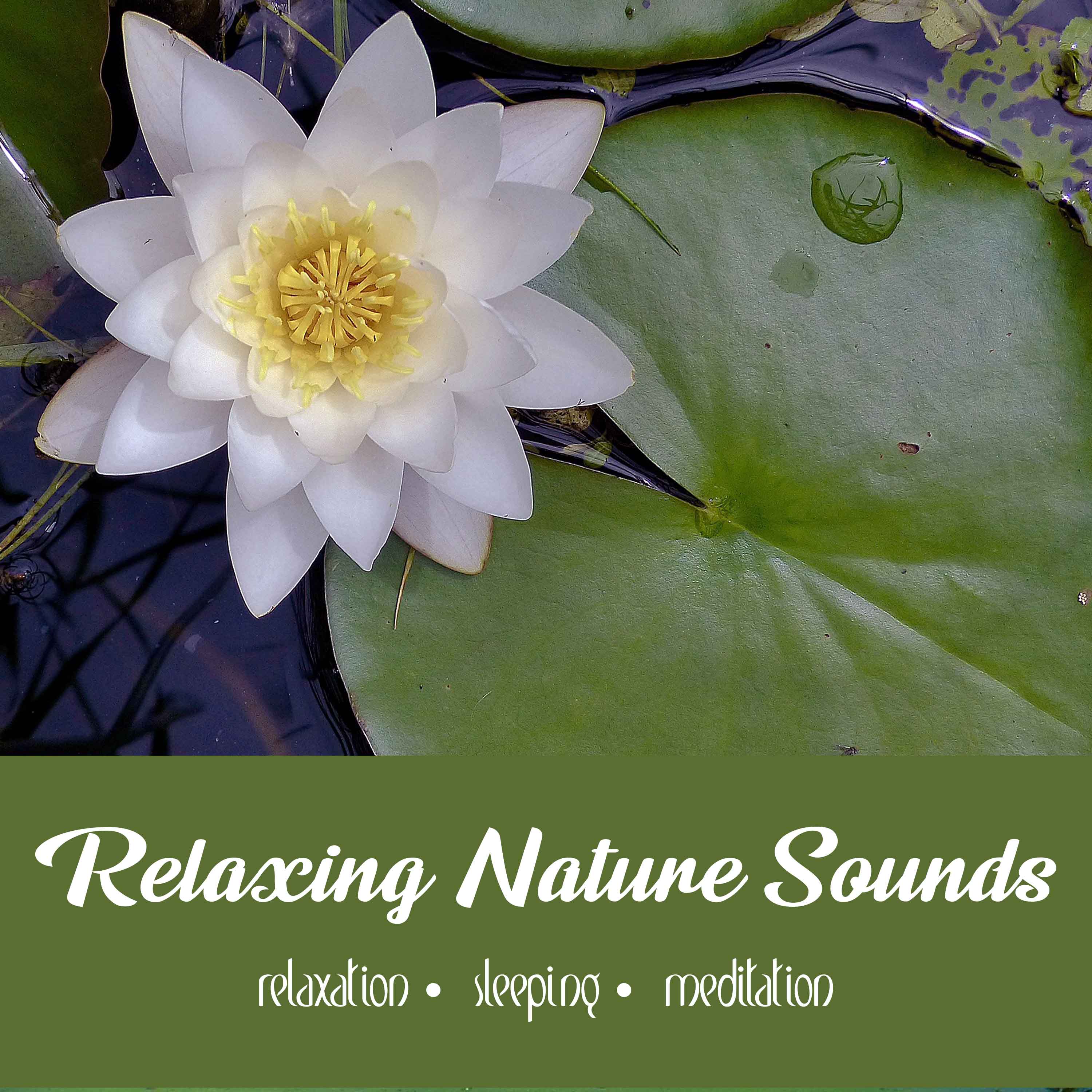 Relaxing Nature Sounds