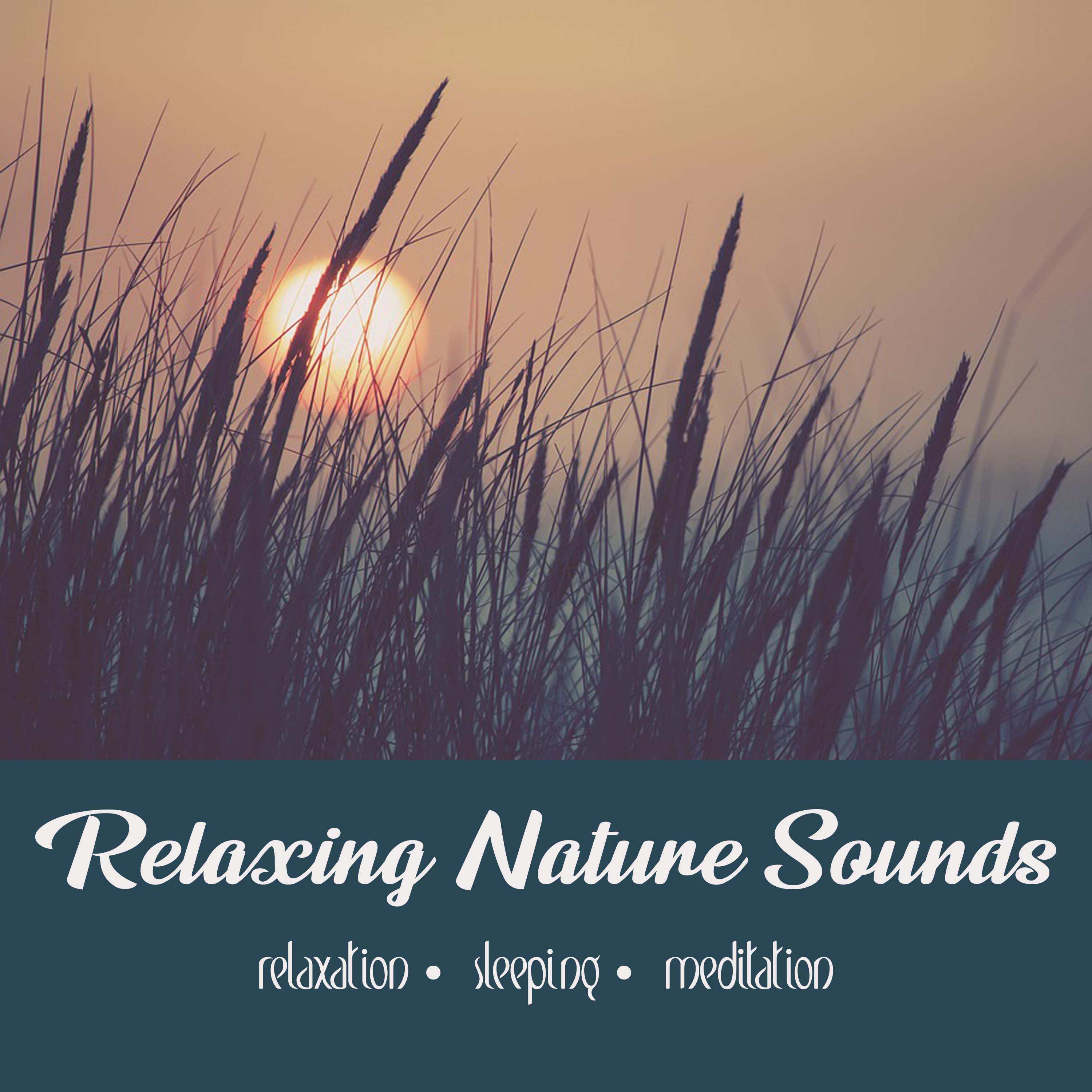 Relaxing Nature Sounds