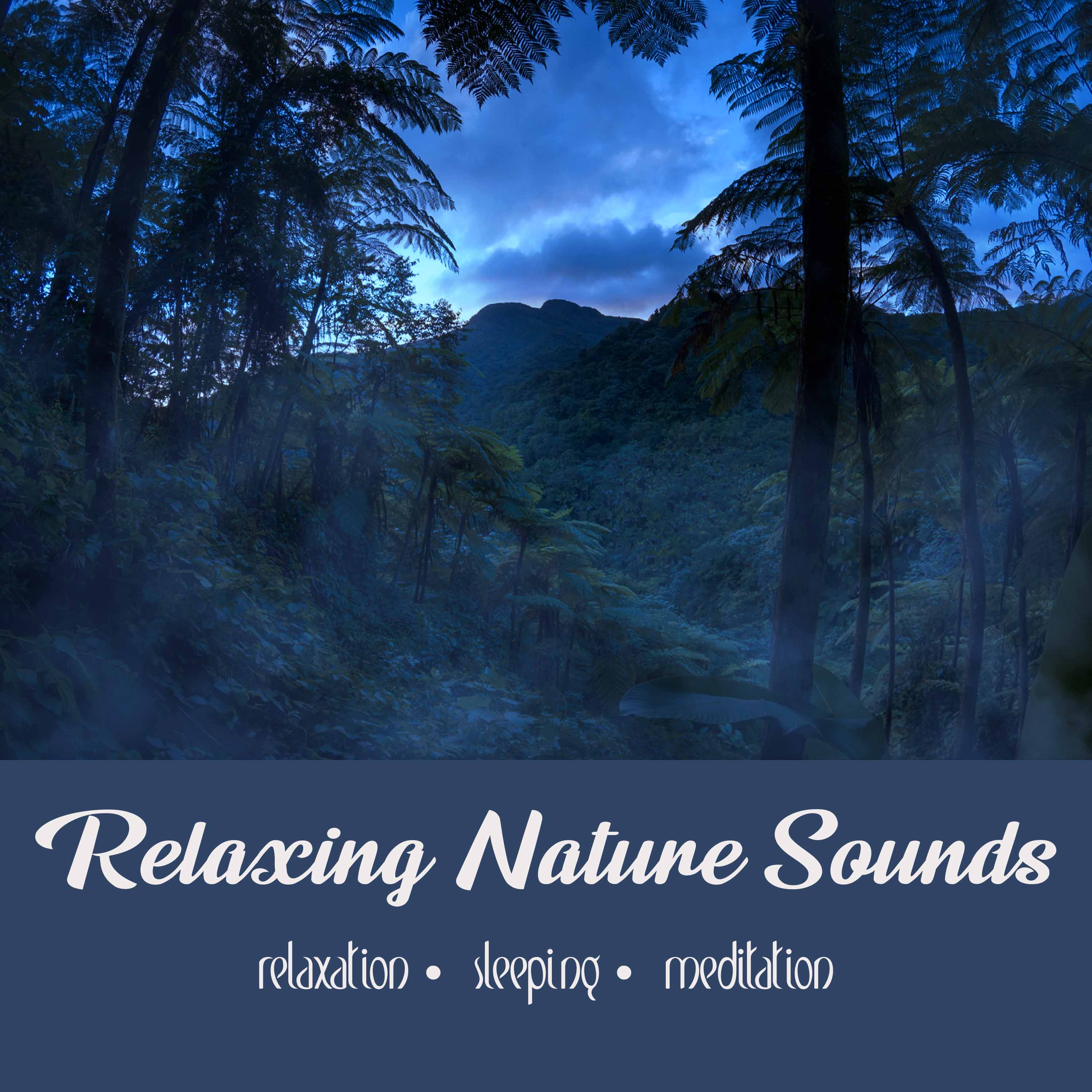 Relaxing Nature Sounds