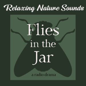 Flies In The Jar Audio-Drama Promo